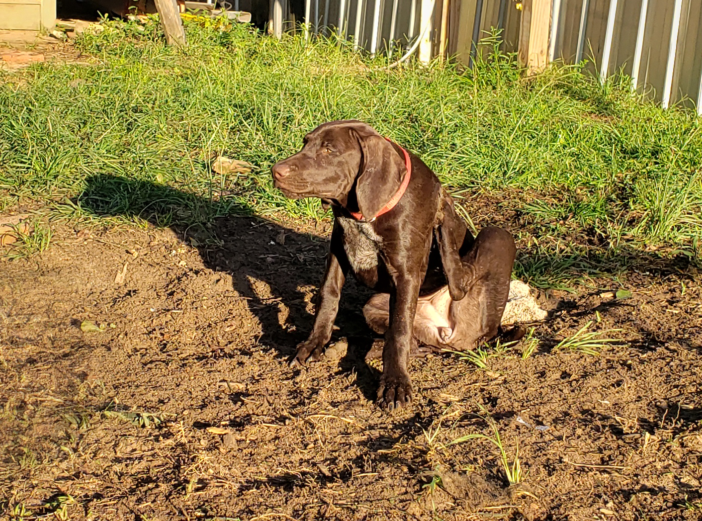 Gaby, ..fun.. scratching my ear 