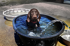 Gaby, water activity ..